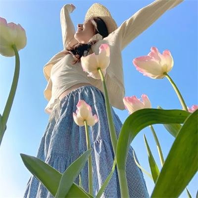 超级明星甘先生